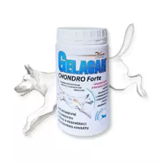Gelacan Chondro Forte-Chondrocan Forte - 500 g